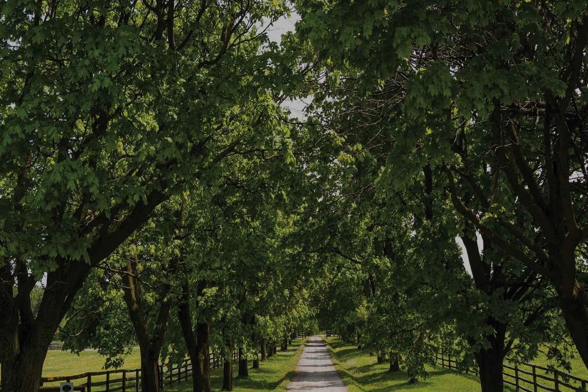 The Valleys of Thornhill community — Treasure Hill townhomes in Thornhill, Ontario